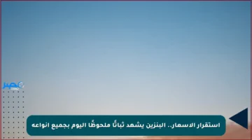 استقرار الأسعار.. البنزين يشهد ثباتًا ملحوظًا اليوم بجميع أنواعه